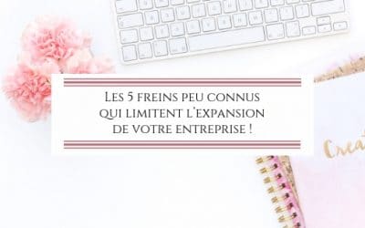Les 5 freins peu connus qui limitent l&rsquo;expansion de votre entreprise !