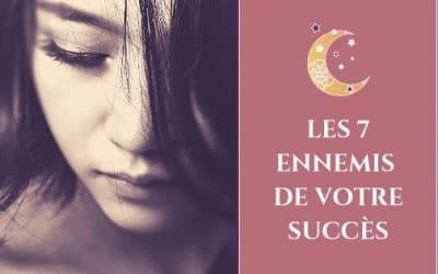 Les 7 Ennemis de votre succès